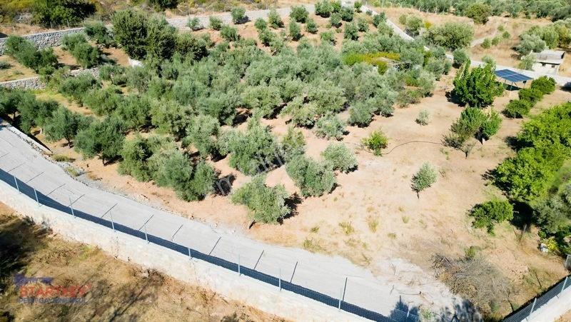 Startkey Pelit İmar Sınırına Yakın 88 M Yol Cepheli Tarla — fotoğraf 6