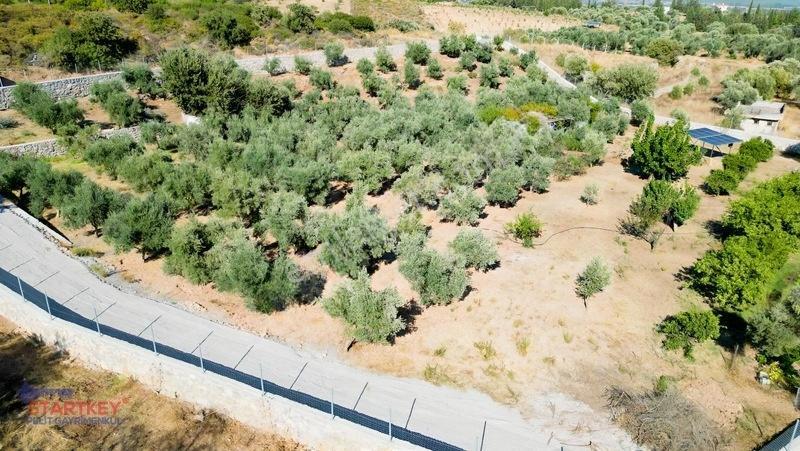 Startkey Pelit İmar Sınırına Yakın 88 M Yol Cepheli Tarla — fotoğraf 8