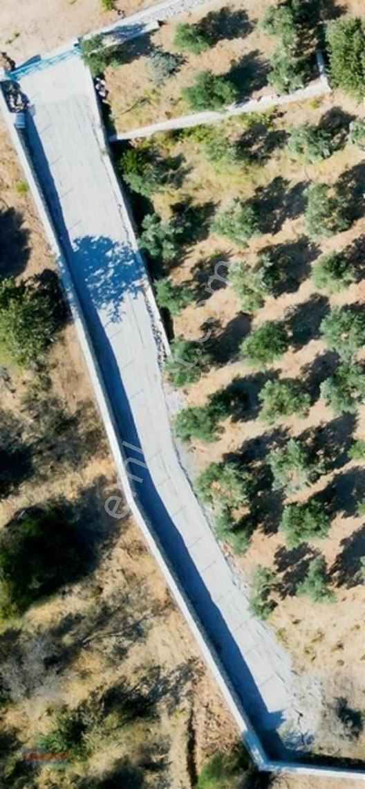 Startkey Pelit İmar Sınırına Yakın 88 M Yol Cepheli Tarla — fotoğraf 10