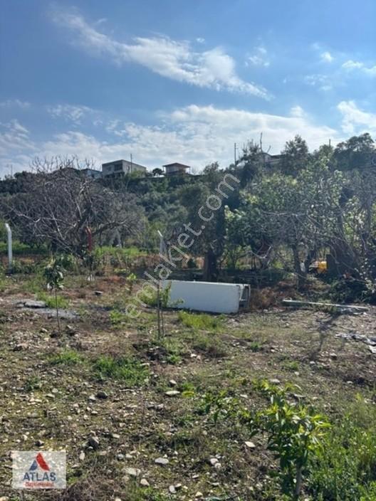 Atlas'tan Dalbahçe'de Mükemmel Konumda Ful Donanımlı Hobibahçesi — fotoğraf 2