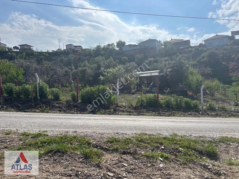 Atlas'tan Dalbahçe'de Mükemmel Konumda Ful Donanımlı Hobibahçesi — fotoğraf 3