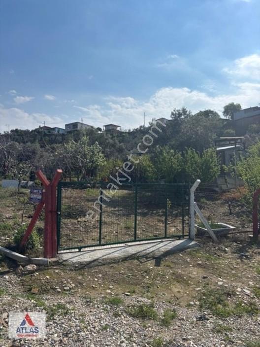 Atlas'tan Dalbahçe'de Mükemmel Konumda Ful Donanımlı Hobibahçesi — fotoğraf 4
