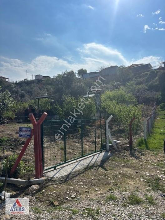 Atlas'tan Dalbahçe'de Mükemmel Konumda Ful Donanımlı Hobibahçesi — fotoğraf 5