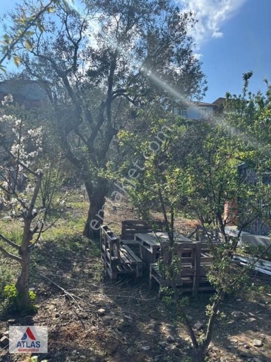 Atlas'tan Dalbahçe'de Mükemmel Konumda Ful Donanımlı Hobibahçesi — fotoğraf 8