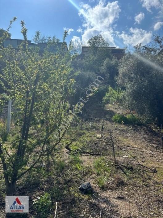 Atlas'tan Dalbahçe'de Mükemmel Konumda Ful Donanımlı Hobibahçesi — fotoğraf 10