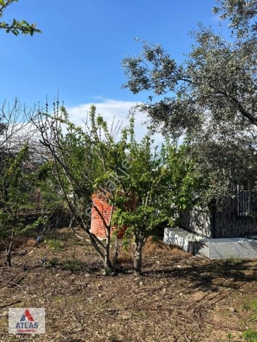 Atlas'tan Dalbahçe'de Mükemmel Konumda Ful Donanımlı Hobibahçesi — fotoğraf 11