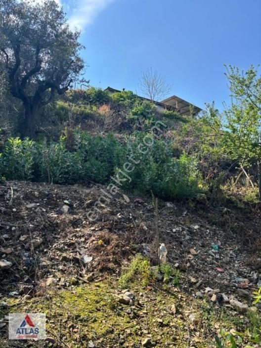 Atlas'tan Dalbahçe'de Mükemmel Konumda Ful Donanımlı Hobibahçesi — fotoğraf 12