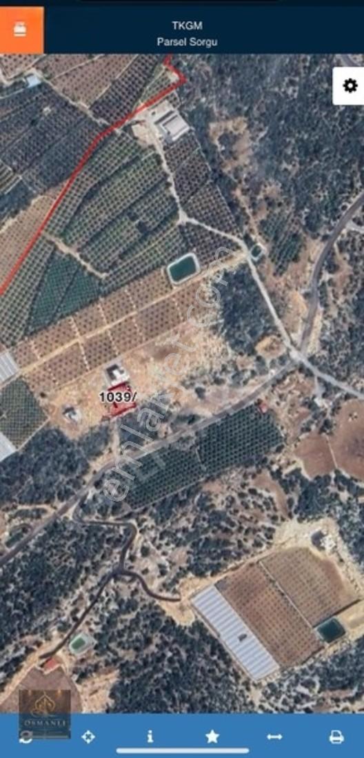 Erdemli Koyuncu Mahallesin De 458 M2 Arsa — fotoğraf 12