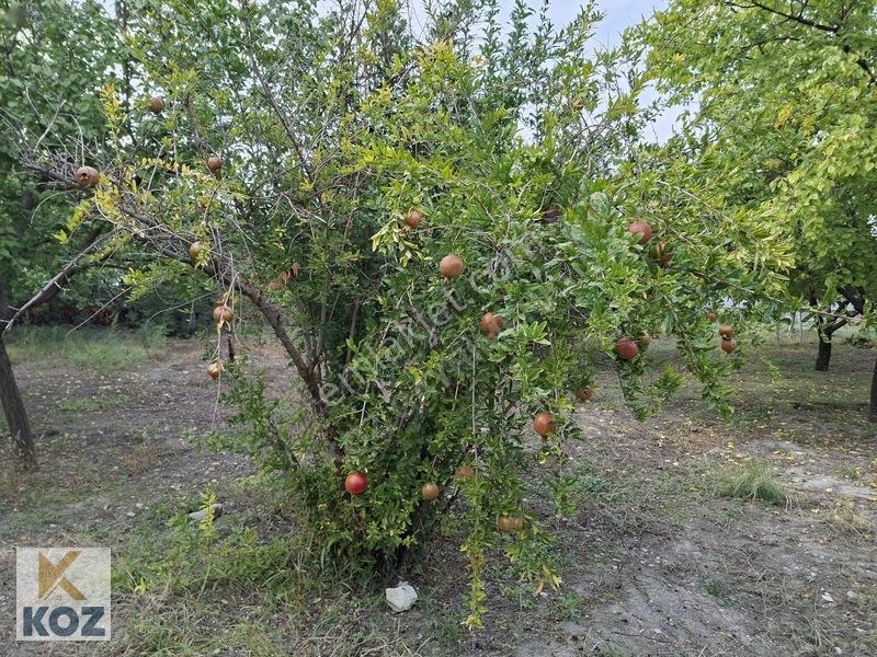 Eski Malatya Merkezde 3934m² Bahçe - Yatırım Fırsatı — fotoğraf 8