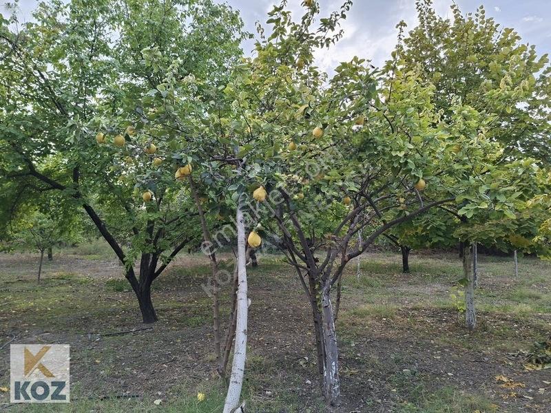 Eski Malatya Merkezde 3934m² Bahçe - Yatırım Fırsatı — fotoğraf 12