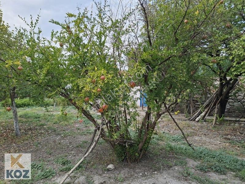 Eski Malatya Merkezde 3934m² Bahçe - Yatırım Fırsatı — fotoğraf 13