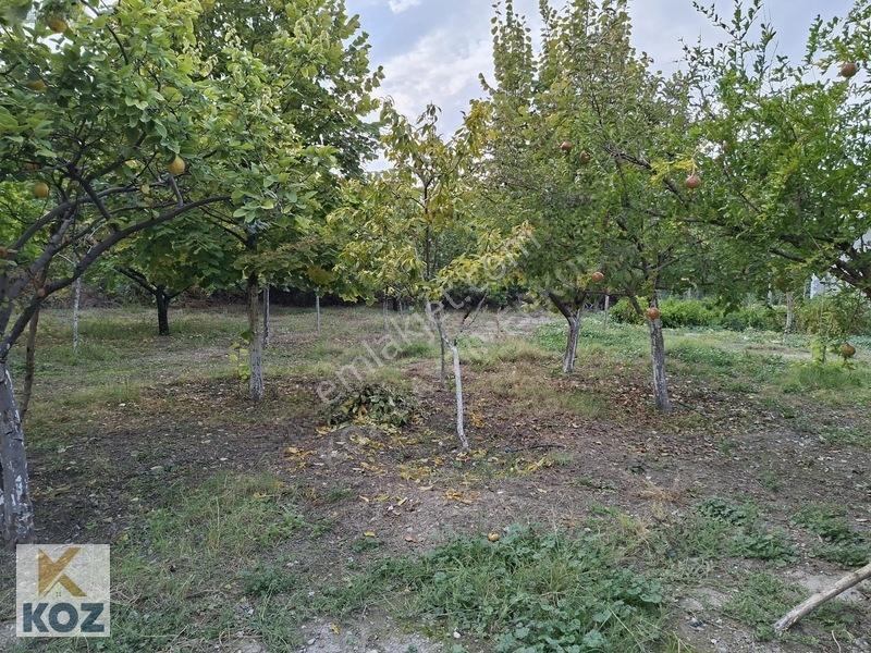 Eski Malatya Merkezde 3934m² Bahçe - Yatırım Fırsatı — fotoğraf 15