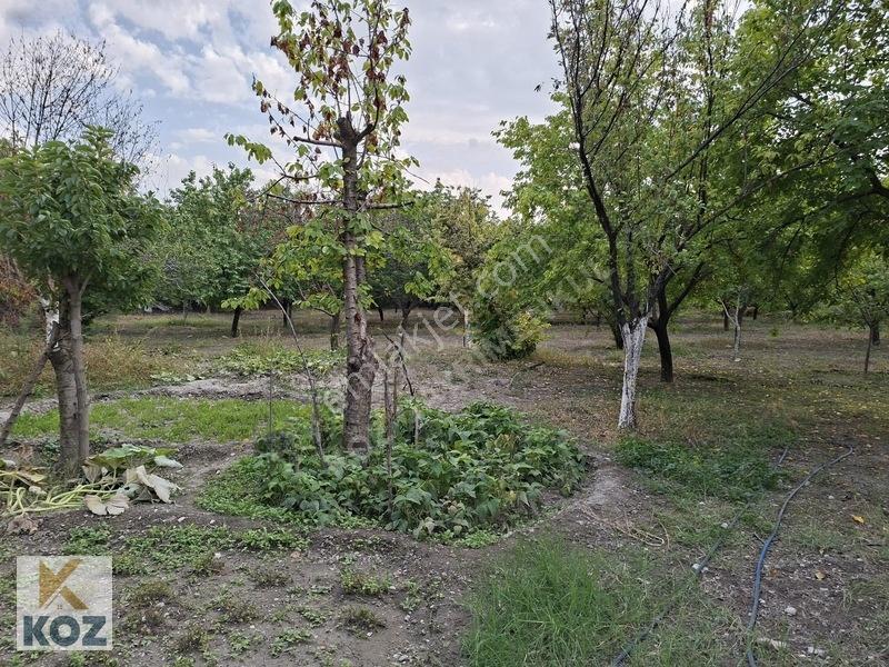 Eski Malatya Merkezde 3934m² Bahçe - Yatırım Fırsatı — fotoğraf 16