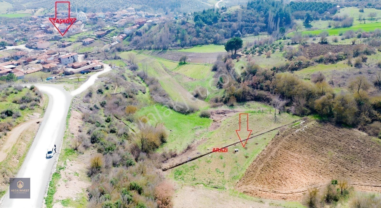 Hega İnvest'den Taşköy Mahallesi İmar Sınırında Satılık Arazi — fotoğraf 3