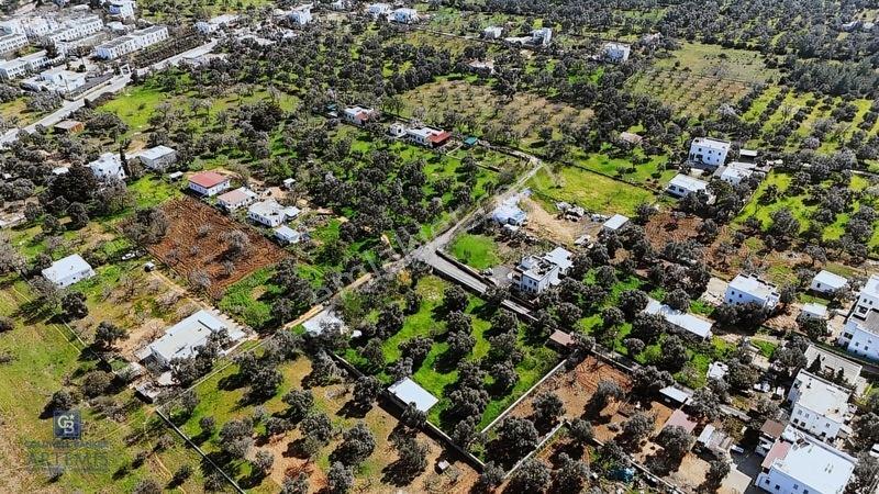 Bodrum Satılık Kızılağaç 3000m2 Köyiçi Arsa — fotoğraf 3