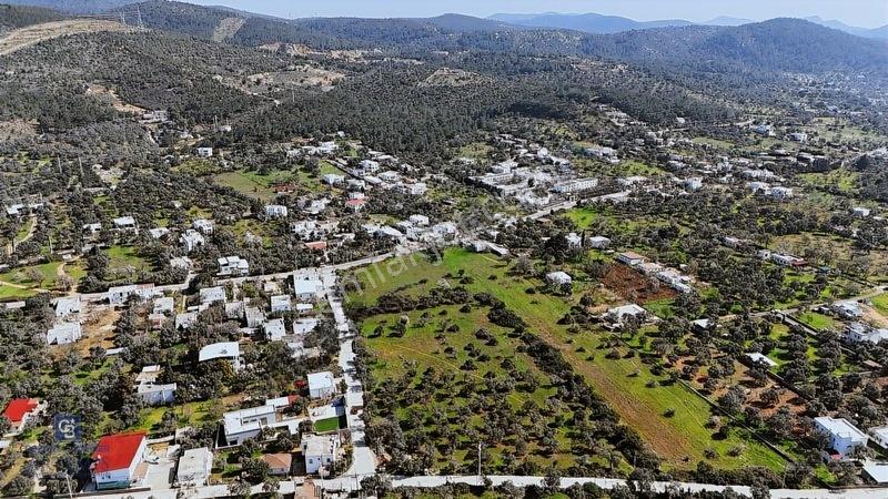 Bodrum Satılık Kızılağaç 3000m2 Köyiçi Arsa — fotoğraf 6