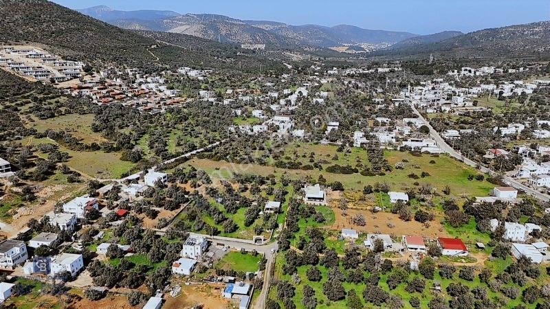 Bodrum Satılık Kızılağaç 3000m2 Köyiçi Arsa — fotoğraf 9