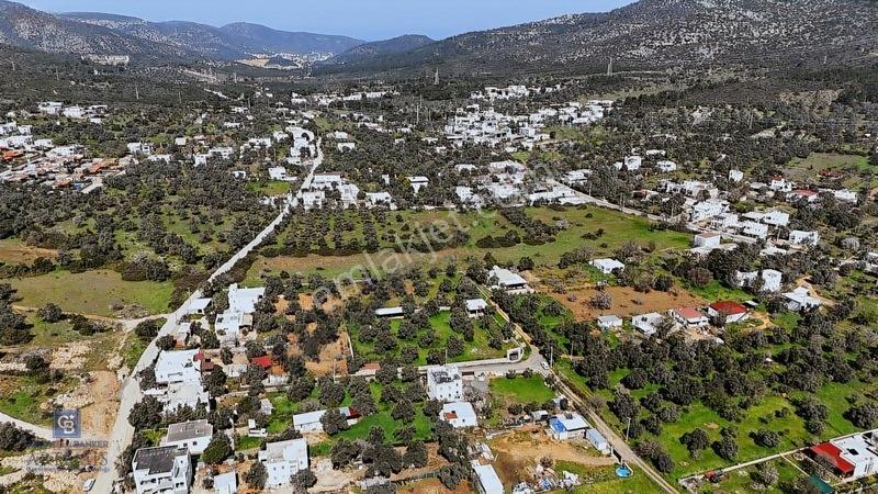 Bodrum Satılık Kızılağaç 3000m2 Köyiçi Arsa — fotoğraf 10