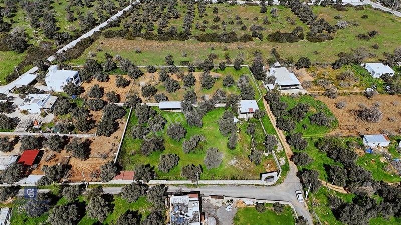 Bodrum Satılık Kızılağaç 3000m2 Köyiçi Arsa — fotoğraf 12