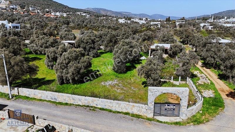 Bodrum Satılık Kızılağaç 3000m2 Köyiçi Arsa — fotoğraf 15