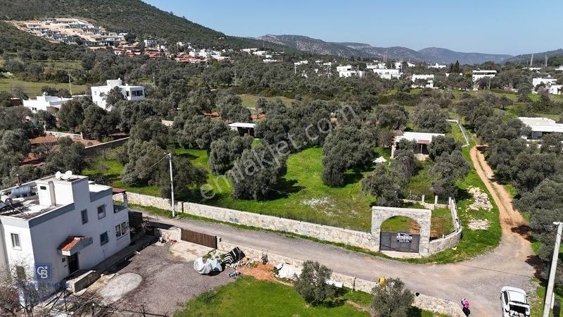 Bodrum Satılık Kızılağaç 3000m2 Köyiçi Arsa — fotoğraf 16