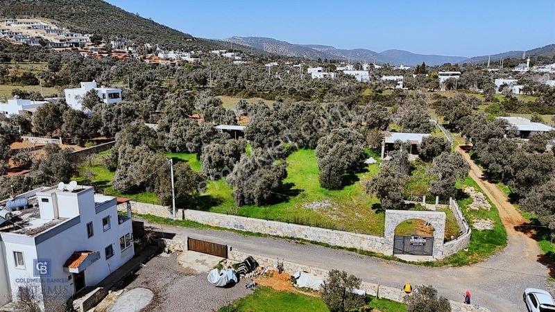 Bodrum Satılık Kızılağaç 3000m2 Köyiçi Arsa — fotoğraf 17