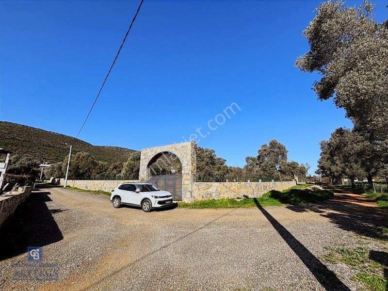 Bodrum Satılık Kızılağaç 3000m2 Köyiçi Arsa — fotoğraf 18
