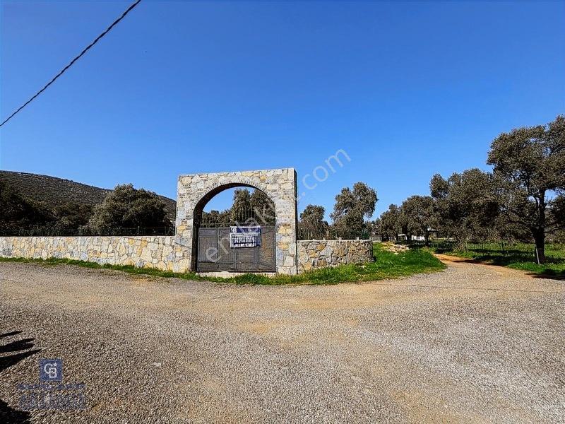 Bodrum Satılık Kızılağaç 3000m2 Köyiçi Arsa — fotoğraf 19