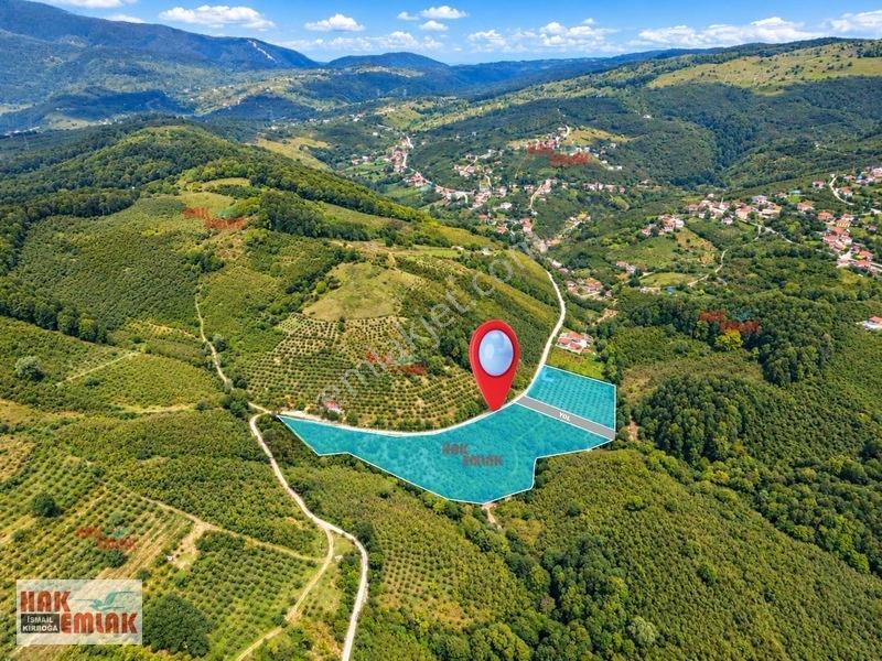 Hak Emlak'tan Yayla Köyünde Satılık 2+1 M.ev Ve 17.639m² Arazi — fotoğraf 3