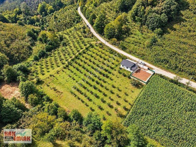 Hak Emlak'tan Yayla Köyünde Satılık 2+1 M.ev Ve 17.639m² Arazi — fotoğraf 4