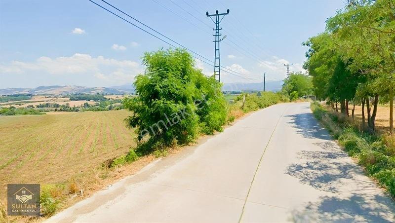 Albelya Tatil Köyü Karşısında Köy Yerleşim İçinde Satılık Arazi — fotoğraf 14
