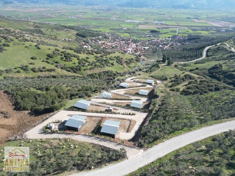 Antika Gayrimenkulden Doyranlı'Da Satılık Temiz Doğa Yaşam Alanı