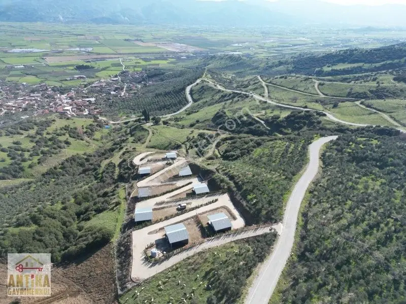Antika Gayrimenkulden Doyranlı'da Satılık Temiz Doğa Yaşam Alanı — fotoğraf 23