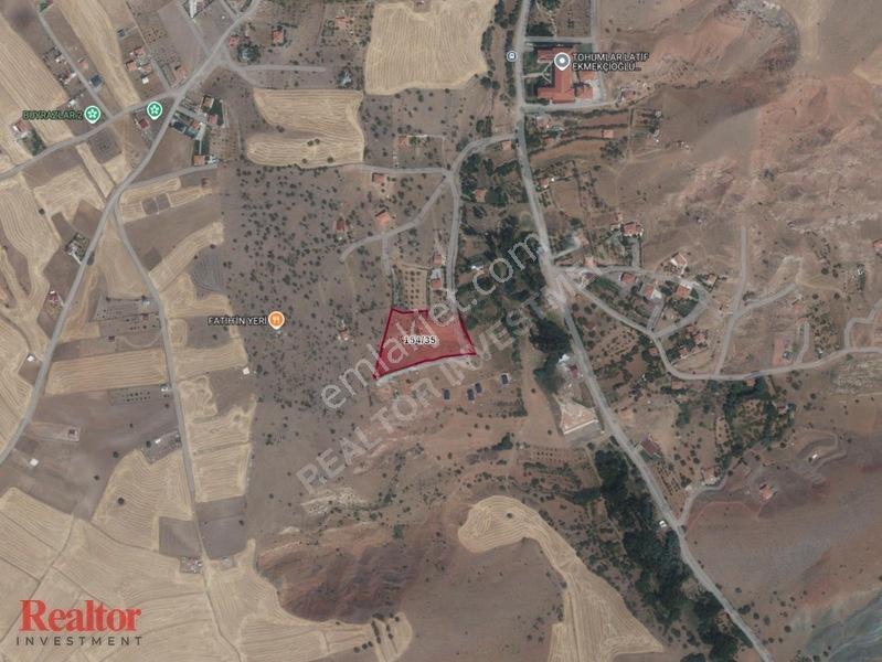 Ankara Çankaya Tohumlar 2.245m² Yola Cephe Telle Çevrili Arsa — fotoğraf 2