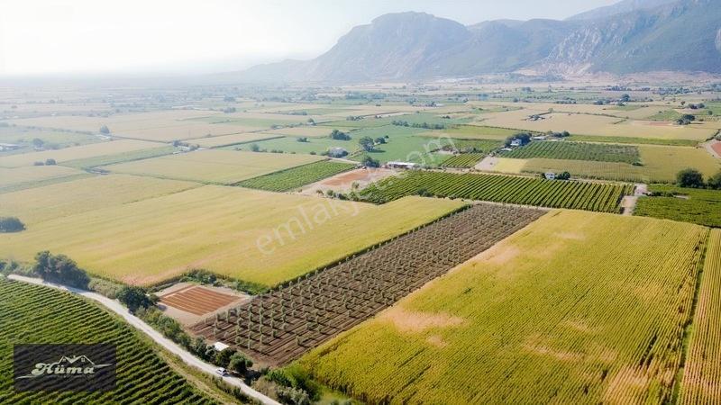 Şehzadeler'de Fırsat Tarla Kadastrol Yol Ve Elektrik Mevcut — fotoğraf 12