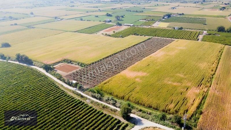 Şehzadeler'de Fırsat Tarla Kadastrol Yol Ve Elektrik Mevcut — fotoğraf 13