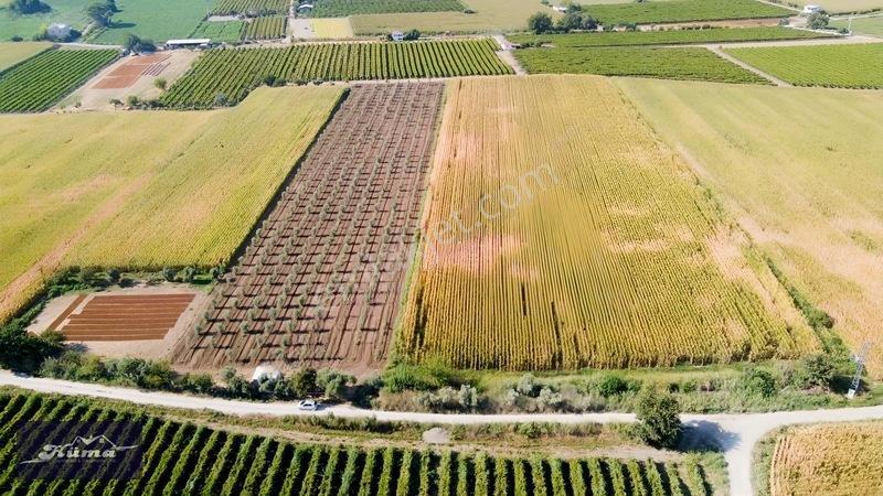 Şehzadeler'de Fırsat Tarla Kadastrol Yol Ve Elektrik Mevcut — fotoğraf 14
