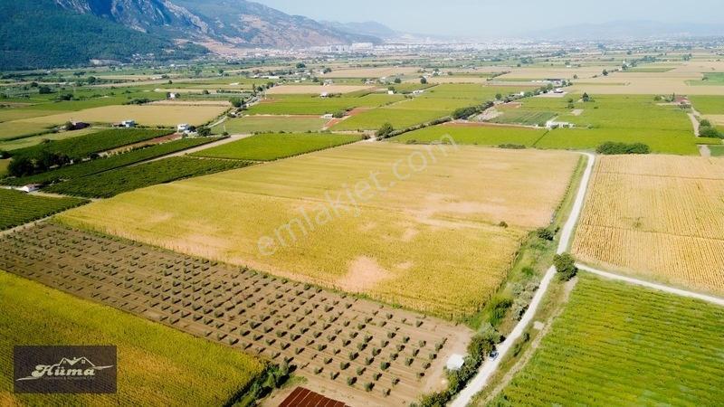 Şehzadeler'de Fırsat Tarla Kadastrol Yol Ve Elektrik Mevcut — fotoğraf 15