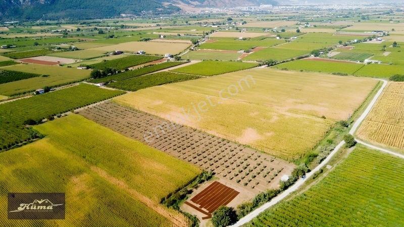 Şehzadeler'de Fırsat Tarla Kadastrol Yol Ve Elektrik Mevcut — fotoğraf 16
