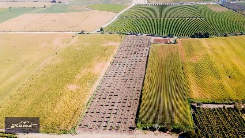 Şehzadeler'de Fırsat Tarla Kadastrol Yol Ve Elektrik Mevcut — fotoğraf 17