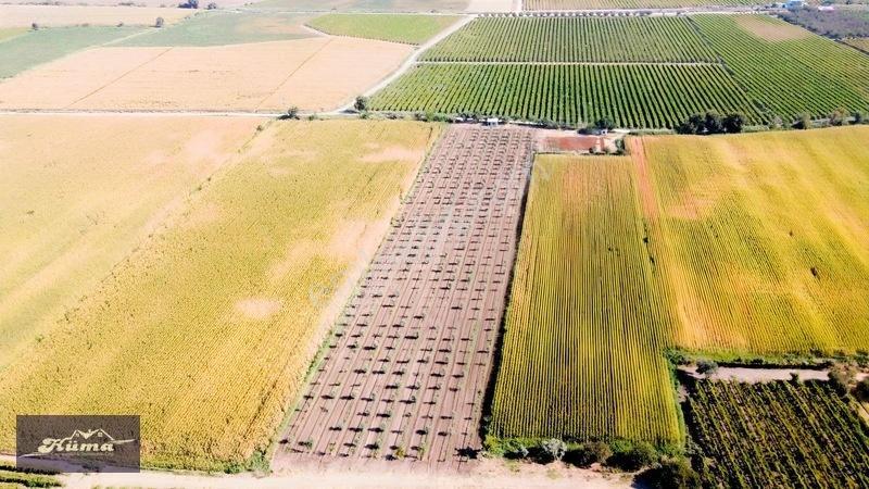 Şehzadeler'de Fırsat Tarla Kadastrol Yol Ve Elektrik Mevcut — fotoğraf 18
