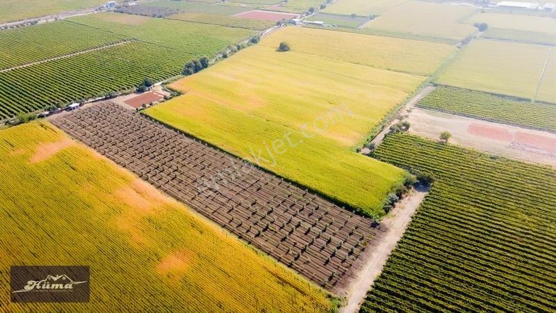 Şehzadeler'de Fırsat Tarla Kadastrol Yol Ve Elektrik Mevcut — fotoğraf 19