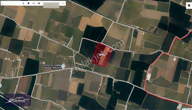 Şehzadeler'de Fırsat Tarla Kadastrol Yol Ve Elektrik Mevcut — fotoğraf 20