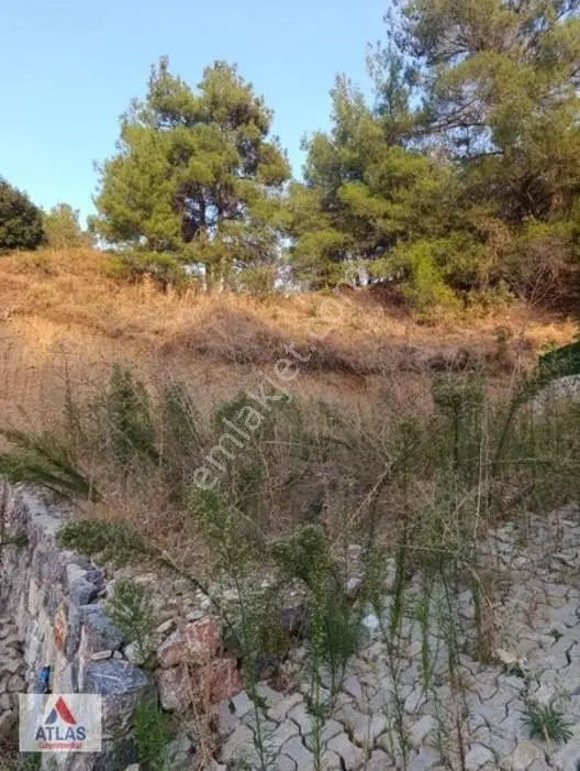 Turgutlu Çatalköprü'de Satılık Kooperatif Hissesi — fotoğraf 3
