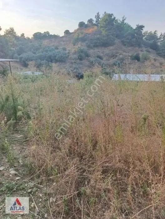 Turgutlu Çatalköprü'de Satılık Kooperatif Hissesi — fotoğraf 4