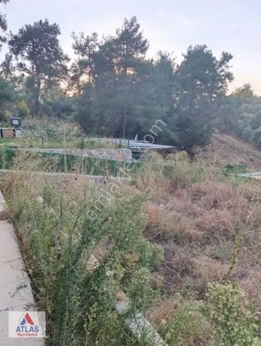 Turgutlu Çatalköprü'de Satılık Kooperatif Hissesi — fotoğraf 6