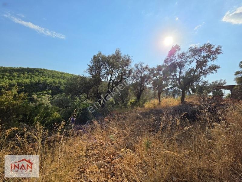 Zeytinköy Taşcağızda Akbüke Yakın,deniz Manzaralı 407 M² Tarla — fotoğraf 4