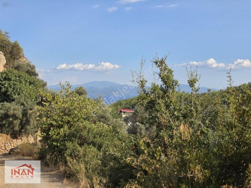 Zeytinköy Taşcağızda Akbüke Yakın,deniz Manzaralı 407 M² Tarla — fotoğraf 5
