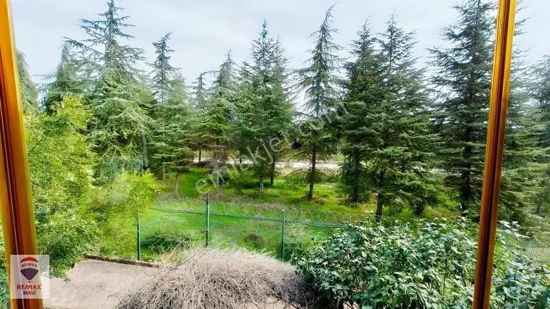 Remax Mavi'den Adapazarı/karaman, Doğa İçinde Geniş Bahçe Villa — fotoğraf 28