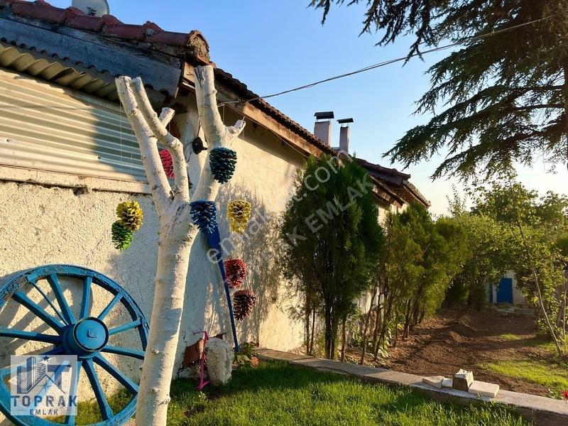 Toprak Emlak'tan Yeşillikler İçinde Müstakil Ev Ve Arsası — fotoğraf 3